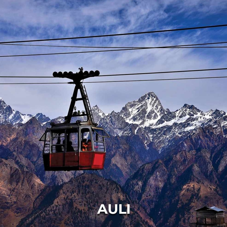 Auli